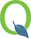 Q logo